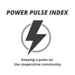 POWER PULSE INDEX KEEPING A PULSE ON THE COOPERATIVE COMMUNITY logo