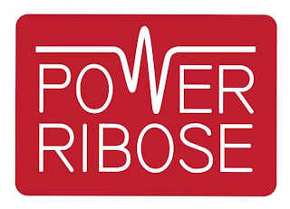 POWER RIBOSE logo