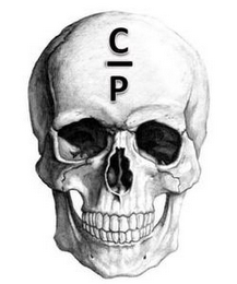 POWER UNDER CONTROL logo