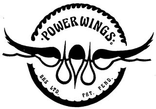 POWER WINGS logo