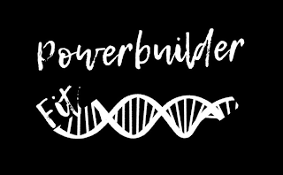 POWERBUILDER FIT logo