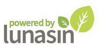 POWERED BY LUNASIN logo