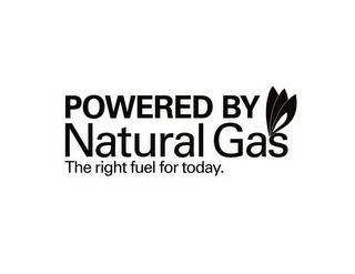 POWERED BY NATURAL GAS THE RIGHT FUEL FOR TODAY. logo