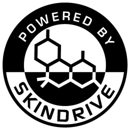 POWERED BY SKINDRIVE logo