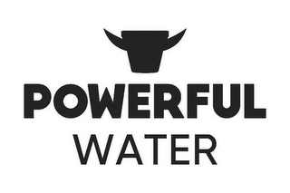 POWERFUL WATER logo