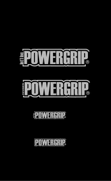 POWERGRIP INTERNATIONAL INC. logo