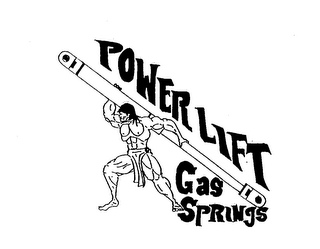 POWERLIFT GAS SPRINGS logo