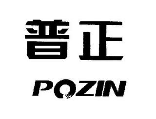 POZIN logo