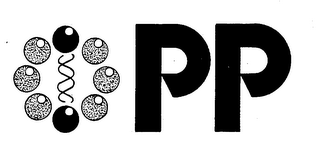 PP