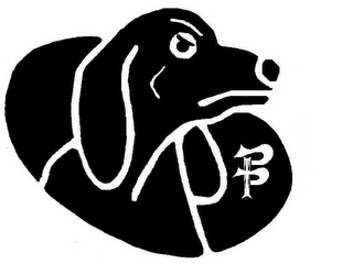 PP logo