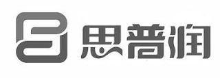 PP logo