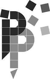 PP logo