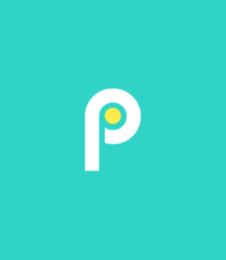 PP logo