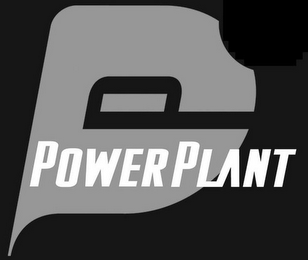 PP POWER PLANT logo