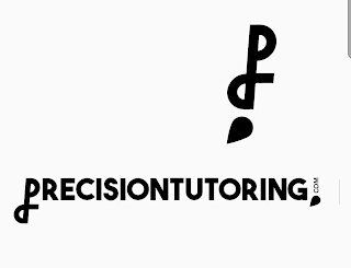 PP PRECISIONTUTORING.COM logo