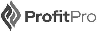 PP PROFITPRO logo