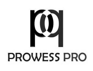 PP PROWESS PRO logo