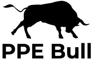 PPE BULL logo