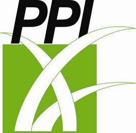 PPI logo