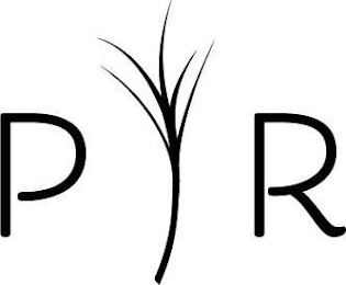 PR logo