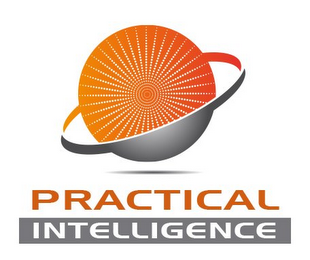 PRACTICAL INTELLIGENCE logo