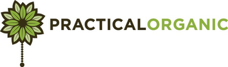 PRACTICAL ORGANIC logo