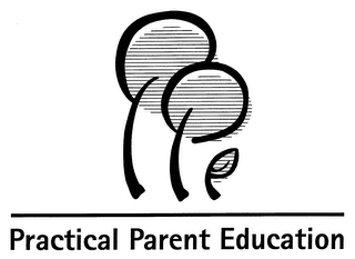 PRACTICAL PARENT EDUCATION logo