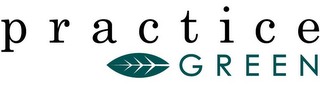 PRACTICE GREEN logo