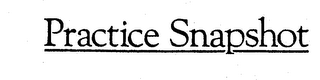 PRACTICE SNAPSHOT logo