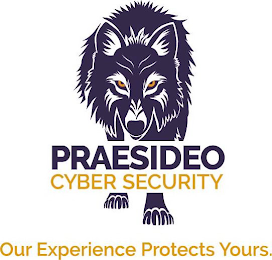 PRAESIDEO CYBER SECURITY OUR EXPERIENCE PROTECTS YOURS. logo