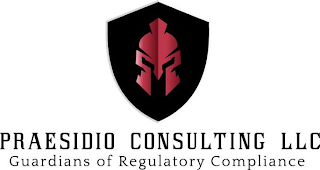 PRAESIDIO CONSULTING LLC GUARDIANS OF REGULATORY COMPLIANCE logo