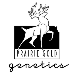 PRAIRIE GOLD GENETICS logo
