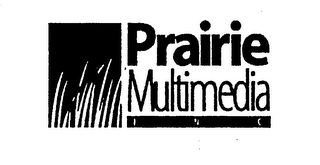 PRAIRIE MULTIMEDIA INC logo