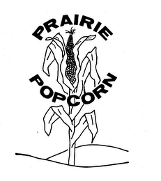 PRAIRIE POPCORN logo