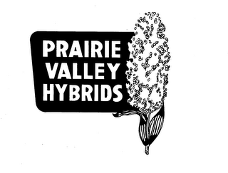 PRAIRIE VALLEY HYBRIDS logo