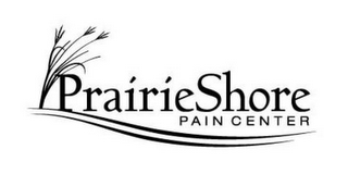 PRAIRIESHORE PAIN CENTER logo