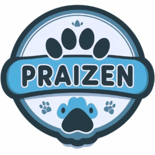 PRAIZEN logo