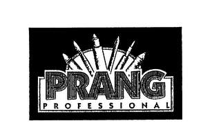 PRANG PROFESSIONAL logo