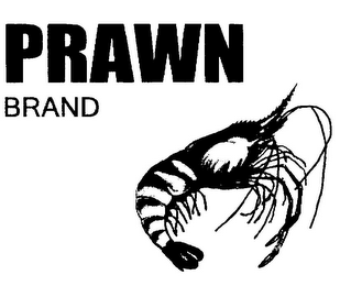 PRAWN BRAND logo