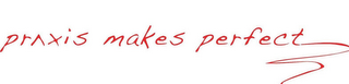 PRAXIS MAKES PERFECT logo