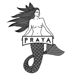 PRAYA logo