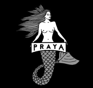 PRAYA logo