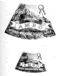 PRECIOUS GIFT FROM ETHIOPIA AMBO NATURAL SPARKLING MINERAL WATER logo