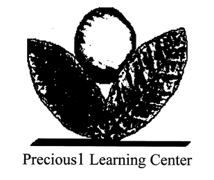 PRECIOUS1 LEARNING CENTER logo