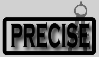 PRECISE logo