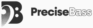 PRECISE BASS logo