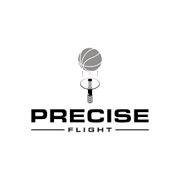 PRECISE FLIGHT logo