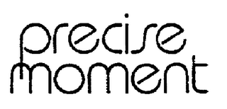 PRECISE MOMENT logo