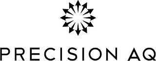 PRECISION AQ logo