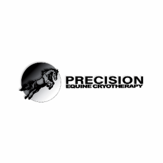 PRECISION EQUINE CRYOTHERAPY logo